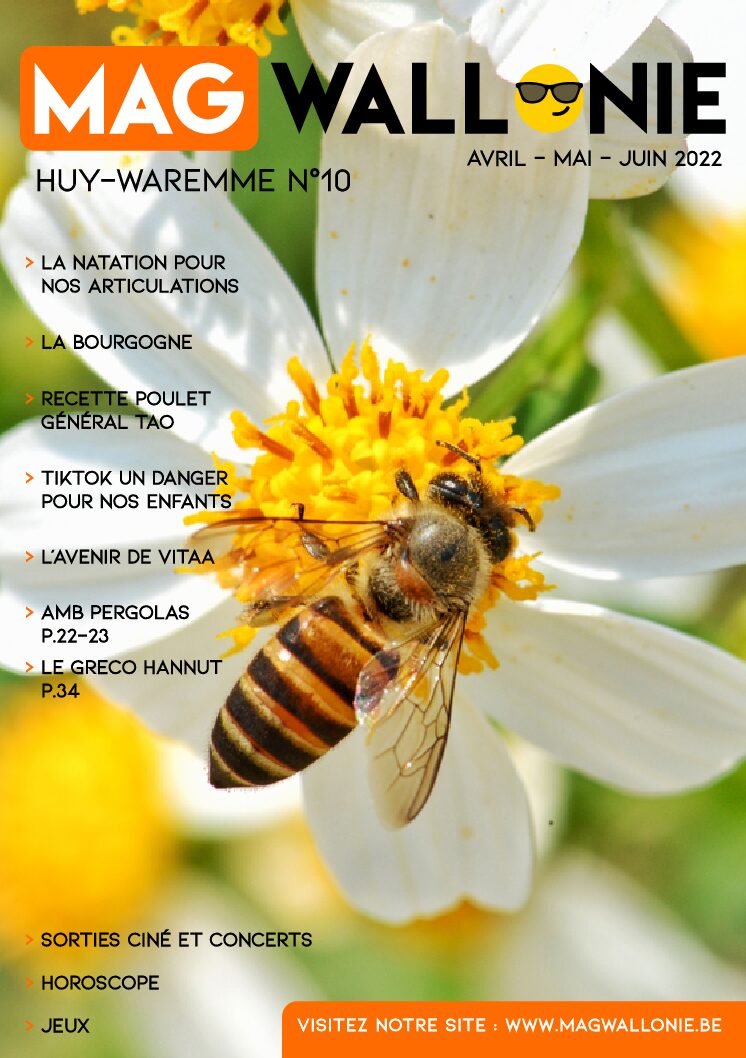 Mag Wallonie : magazine MAGWALLONIE HUY10 de 